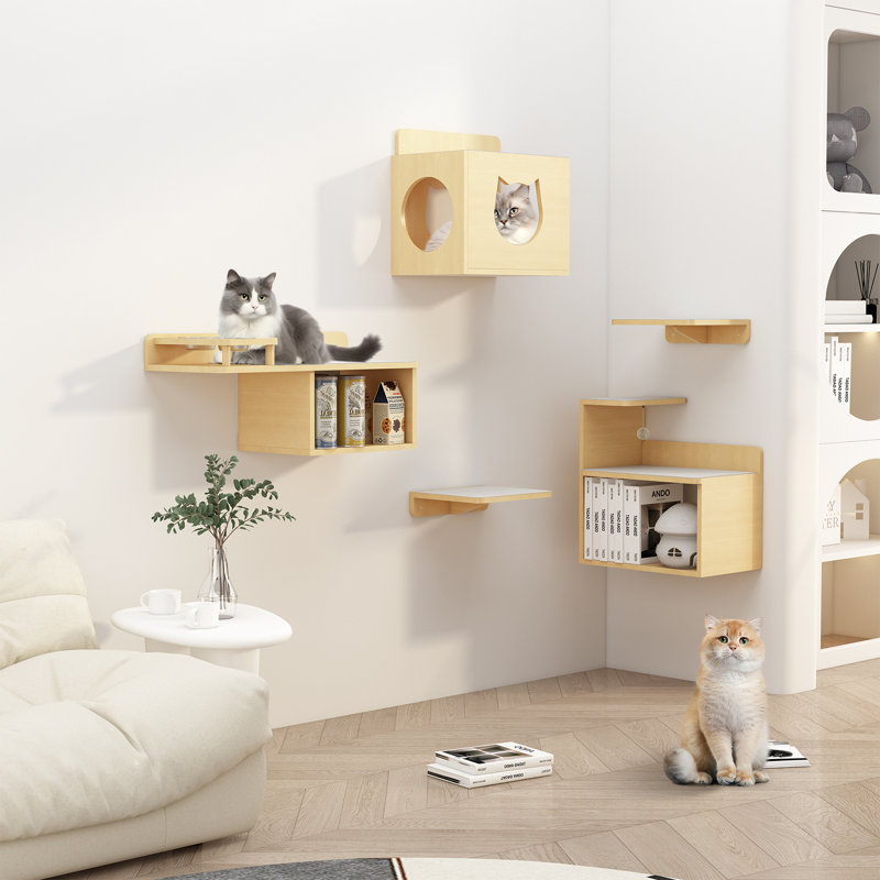 Stunning Compact Cat Wall Shelves With Locks image